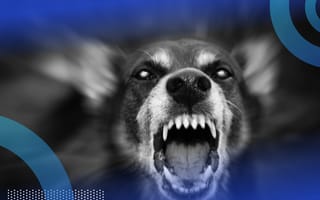An angry dog with glowing eyes