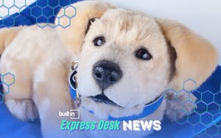 An image of a robotic puppy is shown.