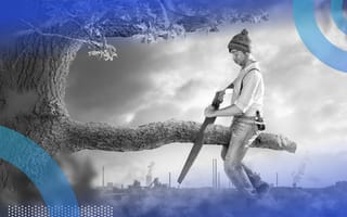 A man saws off the tree branch he's sitting on