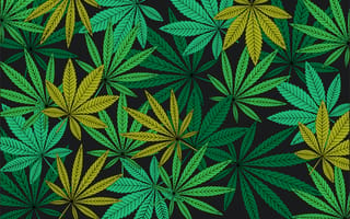 What the Evolving Cannabis Culture Means for CBD and Marijuana Marketing