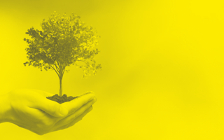 14 Tips for Building a Socially Responsible Company