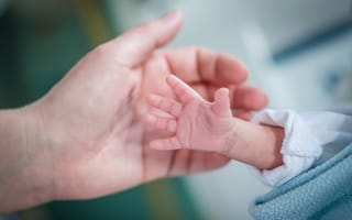 Wireless sensors mean more cuddles for premature babies