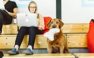 4 Boston tech companies where marketing grads can launch their careers