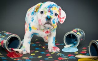 10 Ridiculously Simple Ways to Improve your Visual Content Marketing Strategy