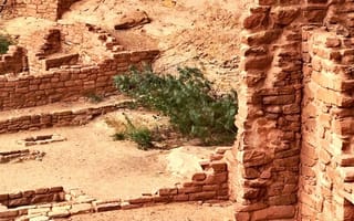 Archaeologists discover new sites through deep learning