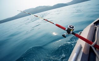 IoT a major catch for sustainable fishing in Japan