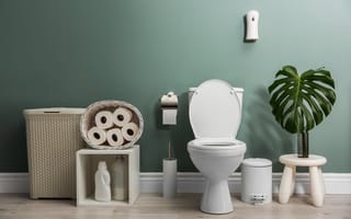 Your commode finally has a smart mode