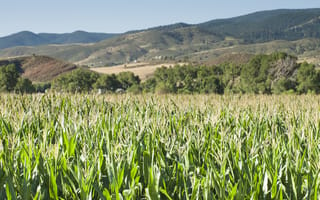 The Agtech Industry is Relying On Colorado for Future Innovation