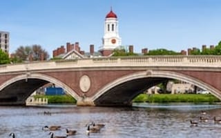 Cambridge Companies Hiring