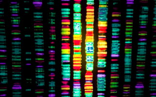 Blockchain startup provides free genomic sequencing