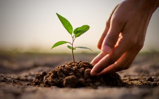 AI to save endangered plants 