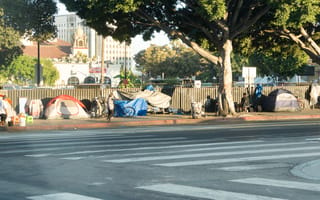 Big data commissioned to address LA’s homelessness crisis