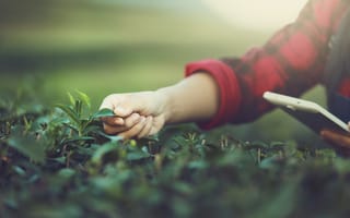4 Agtech Companies Cultivating in Boston