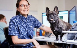 Office-dog curious? Here’s how leading tech companies make it work