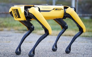 Boston Dynamics Is Sending its “Spot” Robot to Select Companies