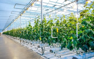 Root AI Raises $7.2M in Seed Funds to Grow Its Agricultural Robotics Business
