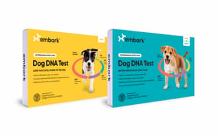 Dog DNA Testing Platform Embark Raises $75M, Plans for 150 Hires