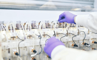 Ginkgo Bioworks to Acquire Zymergen for $300M in All-Stock Deal