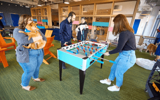 Chewy’s Renovated Boston Office Includes a New Kitchen, Indoor Dog Park