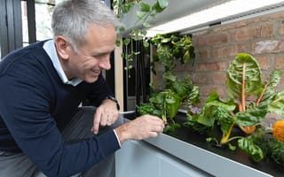 Rise Gardens Raises $2.6M for Its In-Home Hydroponic Systems