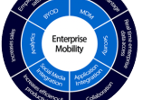 Mobility Maturing in the Enterprise