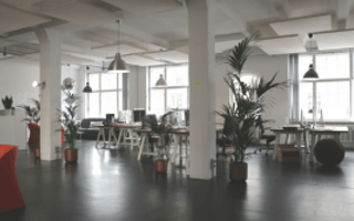 How to Find the Right Office for a Startup