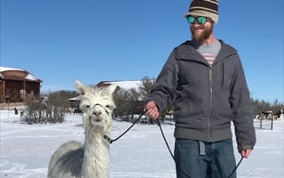 From alpacas to homebrews: 5 Colorado software engineers dish on their quirkiest hobbies