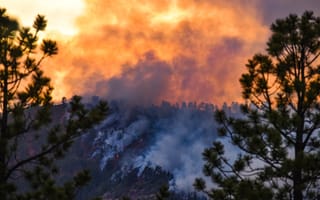 How a local tech company and CU hackathon may have unlocked the key to detecting wildfires