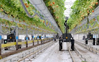 Tortuga AgTech Raises $20M to Build More Robots for Farmers