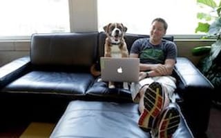 5 Colorado startups where your pup is part of the team