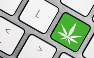 Meet the tech companies behind Colorado's booming cannabis industry