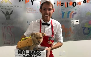 Stop what you're doing and check out what the dogs of LA tech did on Halloween
