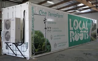 Agtech startup Local Roots uses shipping containers to improve food production
