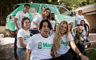 Dog walking app Wag! scores huge $300M round of funding