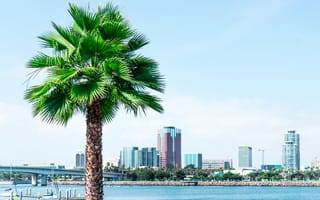4 Long Beach Tech Companies You Should Know