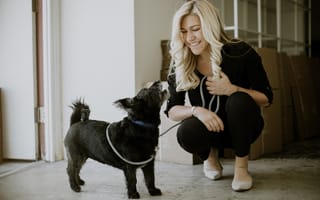 Tech’s best friend: Why these companies offer dog-friendly offices