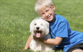 PuppySpot.com Helps Dog Lovers Responsibly Attain Puppy Love This Valentine’s Day