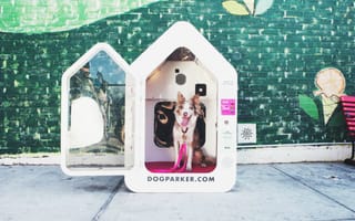 Something to bark about: NYC startup Dog Parker is creating pet-friendly neighborhoods