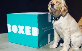 Wholesale startup Boxed bulks up with $111M funding round