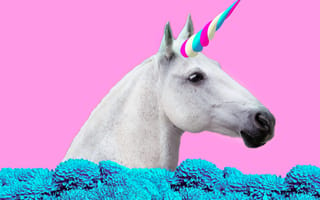 For women-founded unicorns, 2019 is shaping up to be the best year ever