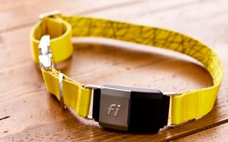 How Fi Made a Smart Dog Collar that Can Go Months Without Charging