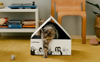 This New Harry’s-Backed Startup Just Launched Its Own Line of Cat Gear
