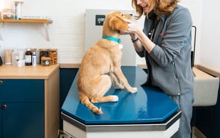 Bond Vet Raises $170M as the Pet Wellness Industry Continues to Grow