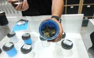 As Cannabis Legalization Grows, Lucid Green Pulls in $10M for Its Tech Solution