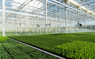 Gotham Greens Secures $310M to Expand Its Indoor Farming Tech