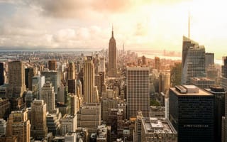  NYC’s 9 Featured Companies of the Month