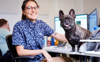 Chewy Hiring Hundreds After Picking Seattle for Its Tech-Focused Office