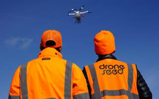 DroneSeed Raises $36M to Help Forests Bounce Back After Wildfires