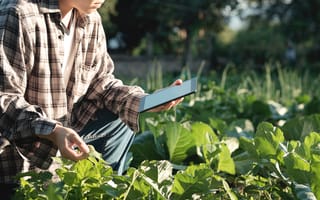 8 Agtech Companies Supporting Silicon Valley’s Agricultural Future