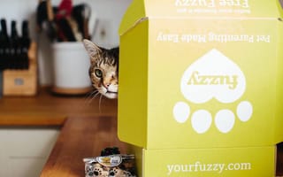 Fuzzy Raises $18M Series B to Democratize Access to Veterinary Care